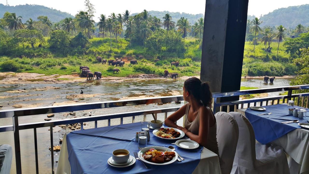 Hotel Elephant Park "Grand Royal Pinnalanda" Пиннавела Экстерьер фото