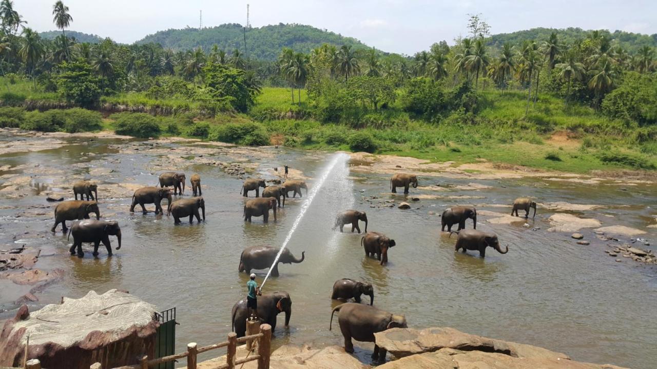 Hotel Elephant Park - New Deal! Half Off Airport Pickups Available Пиннавела Экстерьер фото