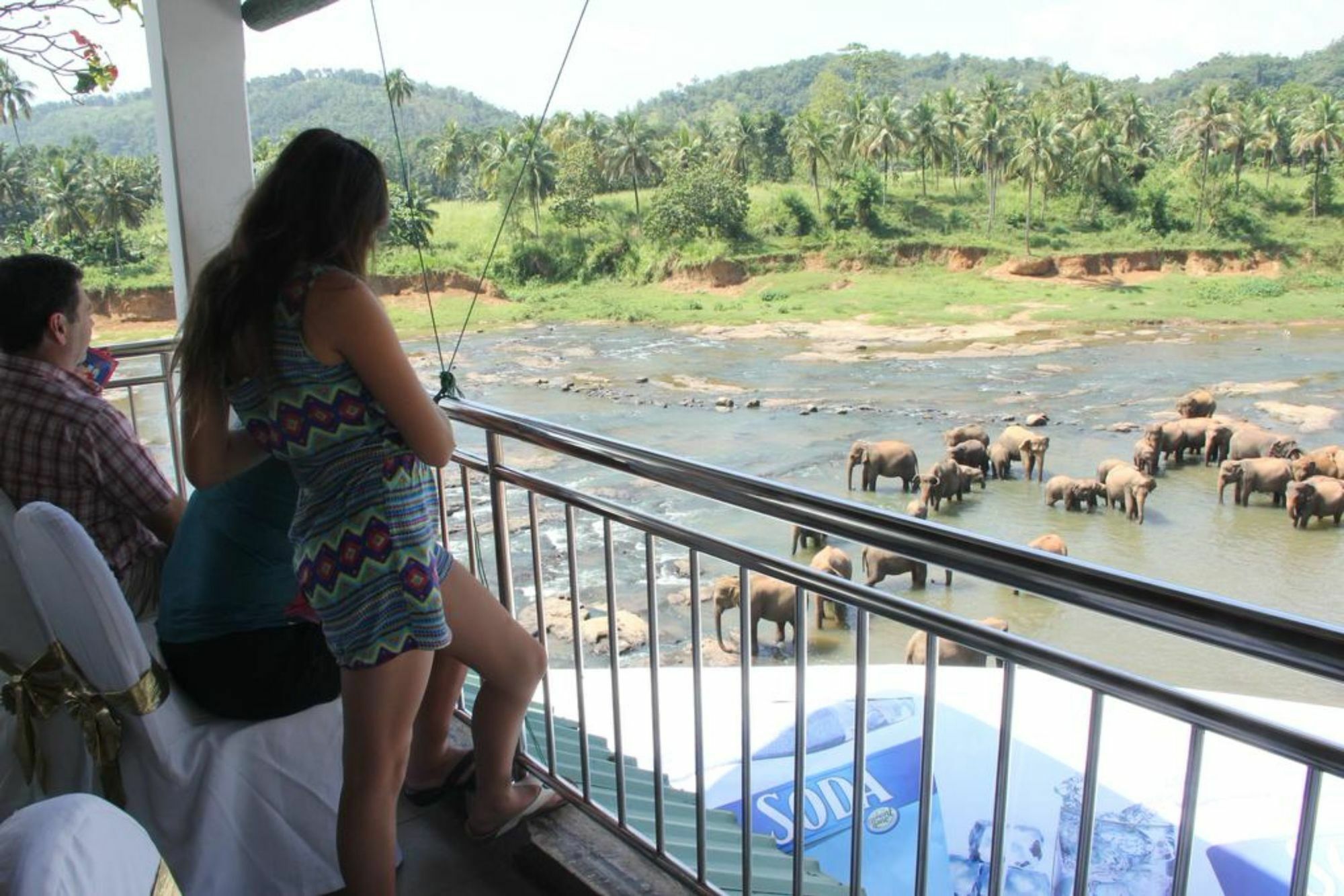 Hotel Elephant Park - New Deal! Half Off Airport Pickups Available Пиннавела Экстерьер фото