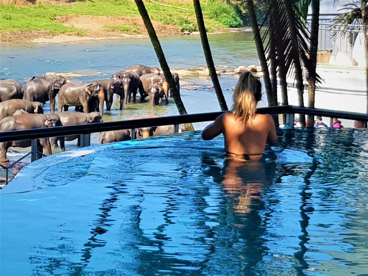Hotel Elephant Park - New Deal! Half Off Airport Pickups Available Пиннавела Экстерьер фото